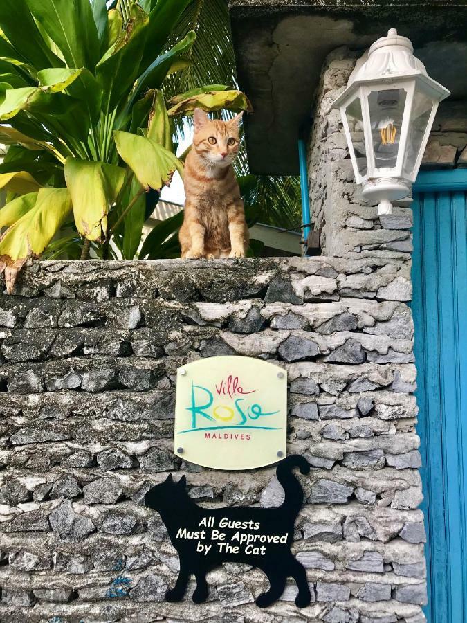 Villa Rosa Maldives Feridhoo Ngoại thất bức ảnh